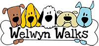 Welwyn Walks Dog Walking and Day Care